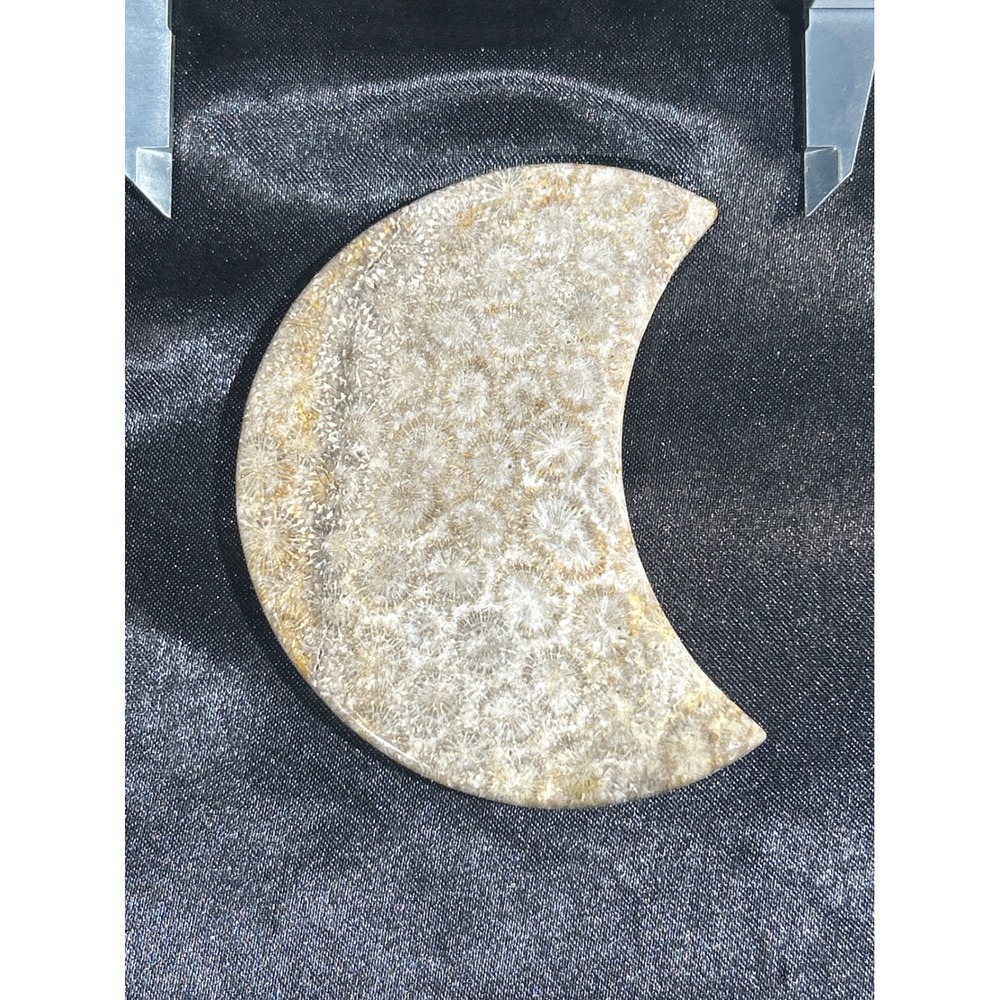 Natural Agatized Coral Crescent Moon Carving Polished Specimen #45